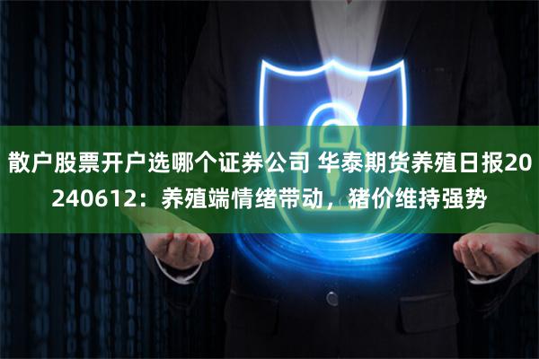 散户股票开户选哪个证券公司 华泰期货养殖日报20240612：养殖端情绪带动，猪价维持强势