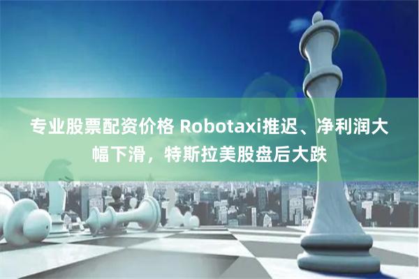 专业股票配资价格 Robotaxi推迟、净利润大幅下滑，特斯拉美股盘后大跌